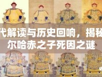 現(xiàn)代解讀與歷史回響，揭秘努爾哈赤之子死因之謎