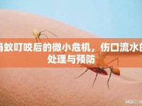 螞蟻叮咬后的微小危機(jī)，傷口流水的處理與預(yù)防