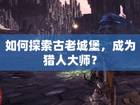 如何探索古老城堡，成為獵人大師？