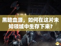 黑暗血源，如何在這片未知領(lǐng)域中生存下來？