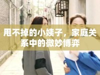 甩不掉的小姨子，家庭關(guān)系中的微妙博弈