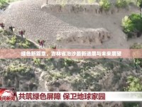 綠色新篇章，吉林省治沙最新進(jìn)展與未來展望
