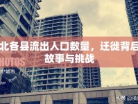 湖北各縣流出人口數(shù)量，遷徙背后的故事與挑戰(zhàn)