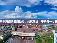 海寧東灣疫情最新動(dòng)態(tài)，共筑防線，守護(hù)每一寸安寧
