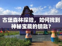 古堡森林探險(xiǎn)，如何找到神秘寶藏的鑰匙？
