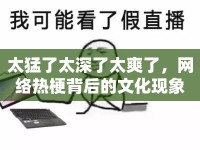 太猛了太深了太爽了，網(wǎng)絡(luò)熱梗背后的文化現(xiàn)象
