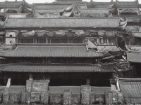 天天干夜夜爽背后隱藏著怎樣的多維魅力？