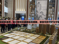 深圳前海灣，蛇口管控區(qū)最新動(dòng)態(tài)圖解，靜默中的守護(hù)與守望