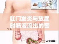 肛門發(fā)炎與放屁時(shí)腸液流出的警示，了解癥狀，重視健康