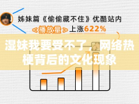 濕妹我要受不了，網(wǎng)絡(luò)熱梗背后的文化現(xiàn)象