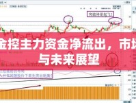 國(guó)盛金控主力資金凈流出，市場(chǎng)動(dòng)向與未來(lái)展望