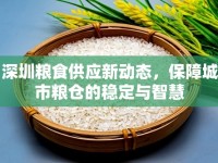 深圳糧食供應新動態(tài)，保障城市糧倉的穩(wěn)定與智慧