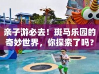親子游必去！斑馬樂(lè)園的奇妙世界，你探索了嗎？