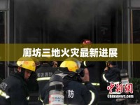 廊坊三地火災(zāi)最新進(jìn)展