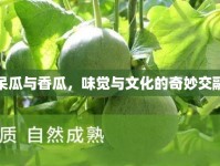 呆瓜與香瓜，味覺與文化的奇妙交融