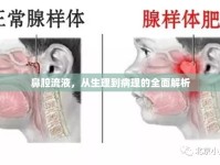 鼻腔流液，從生理到病理的全面解析