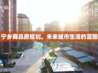 寧鄉(xiāng)商品房規(guī)劃，未來城市生活的藍(lán)圖