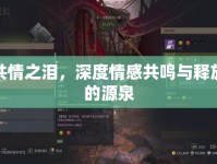 共情之淚，深度情感共鳴與釋放的源泉