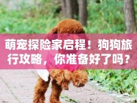 萌寵探險(xiǎn)家啟程！狗狗旅行攻略，你準(zhǔn)備好了嗎？