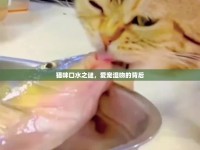 貓咪口水之謎，愛寵濕吻的背后