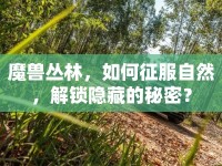 魔獸叢林，如何征服自然，解鎖隱藏的秘密？