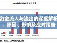 資金流入與流出的深度解析，原因、影響及應(yīng)對(duì)策略