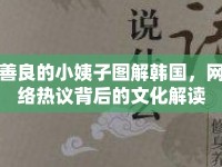 善良的小姨子圖解韓國(guó)，網(wǎng)絡(luò)熱議背后的文化解讀