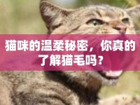 貓咪的溫柔秘密，你真的了解貓毛嗎？