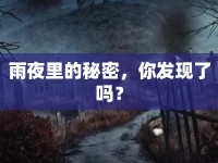 雨夜里的秘密，你發(fā)現(xiàn)了嗎？