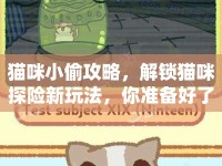 貓咪小偷攻略，解鎖貓咪探險(xiǎn)新玩法，你準(zhǔn)備好了嗎？
