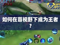 如何在盲視野下成為王者？