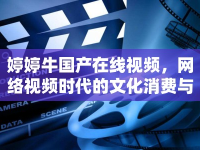 婷婷牛國(guó)產(chǎn)在線視頻，網(wǎng)絡(luò)視頻時(shí)代的文化消費(fèi)與審美探討