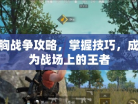 胸戰(zhàn)爭攻略，掌握技巧，成為戰(zhàn)場上的王者