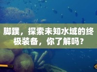 腳蹼，探索未知水域的終極裝備，你了解嗎？