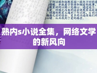 熟內(nèi)s小說全集，網(wǎng)絡(luò)文學(xué)的新風(fēng)向