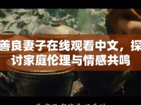 善良妻子在線(xiàn)觀看中文，探討家庭倫理與情感共鳴