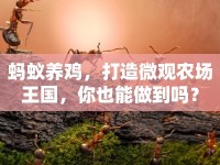 螞蟻養(yǎng)雞，打造微觀農(nóng)場(chǎng)王國(guó)，你也能做到嗎？
