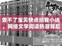 受不了寶貝快點(diǎn)給我小說，網(wǎng)絡(luò)文學(xué)閱讀熱潮背后的文化現(xiàn)象