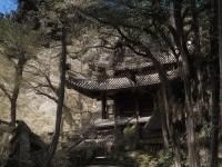 如何在電腦上玩轉(zhuǎn)蜀門手游，暢游仙俠世界？