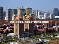 肥西土地拍賣會，熱潮涌動下的城市發(fā)展新篇章