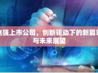 趙強上市公司，創(chuàng)新驅(qū)動下的新篇章與未來展望