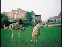 如何精準(zhǔn)輸入坐標(biāo)，探索熱血江湖手游的未知江湖？