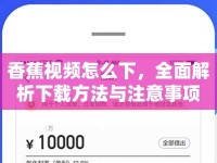 香蕉視頻怎么下，全面解析下載方法與注意事項