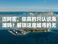 邁阿密，你真的只認(rèn)識(shí)海灘嗎？解鎖這座城市的無限魅力！