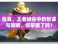 張良，王者峽谷中的智謀與策略，你掌握了嗎？
