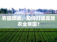 農(nóng)田改造，如何打造高效農(nóng)業(yè)帝國？