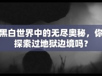 黑白世界中的無盡奧秘，你探索過地獄邊境嗎？
