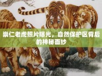 崇仁老虎照片曝光，自然保護(hù)區(qū)背后的神秘面紗
