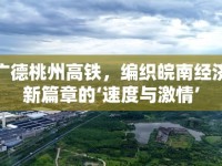 廣德桃州高鐵，編織皖南經(jīng)濟(jì)新篇章的‘速度與激情’