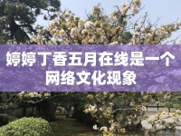 婷婷丁香五月在線是一個(gè)網(wǎng)絡(luò)文化現(xiàn)象
